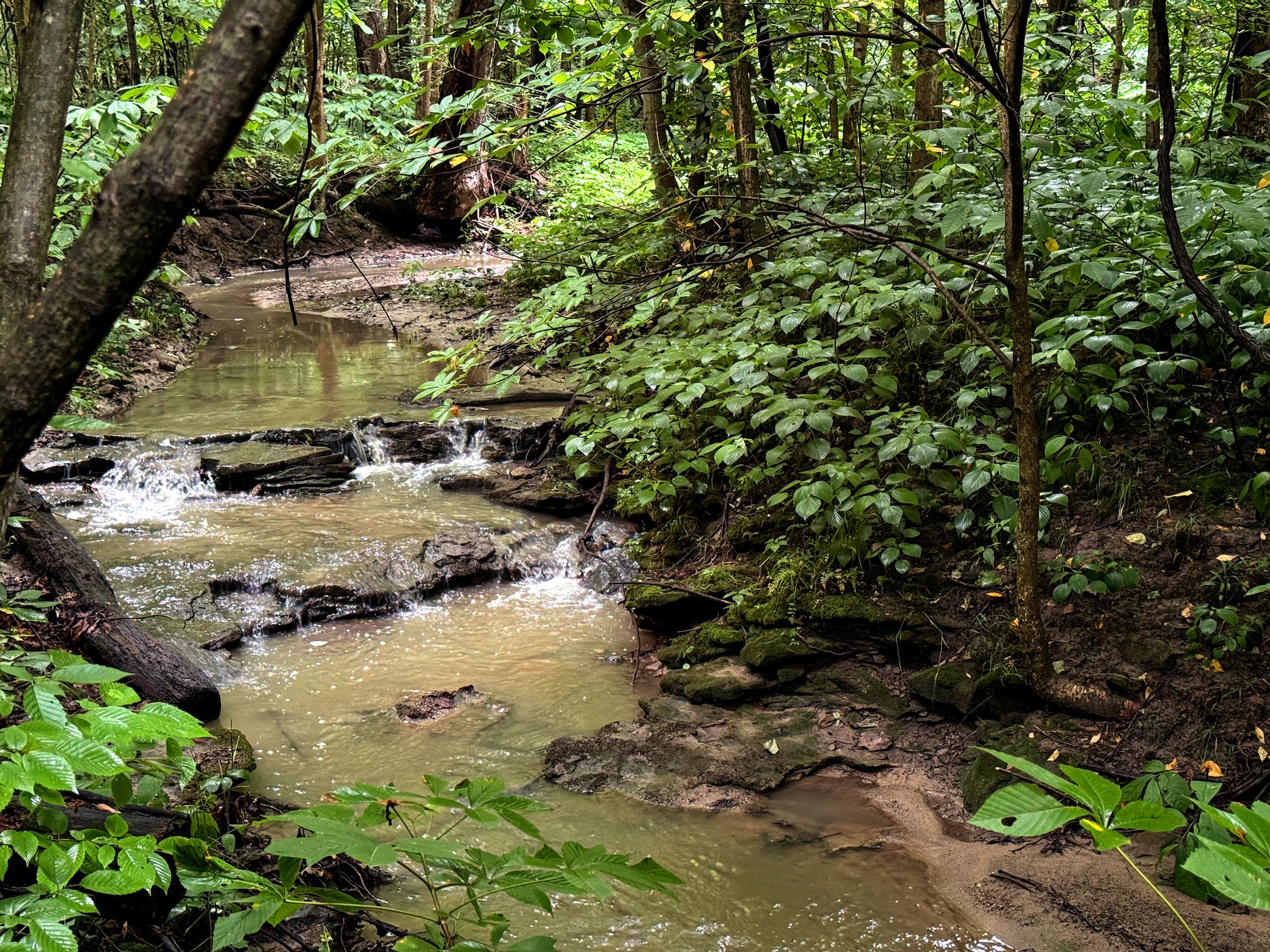 Greystone Creek